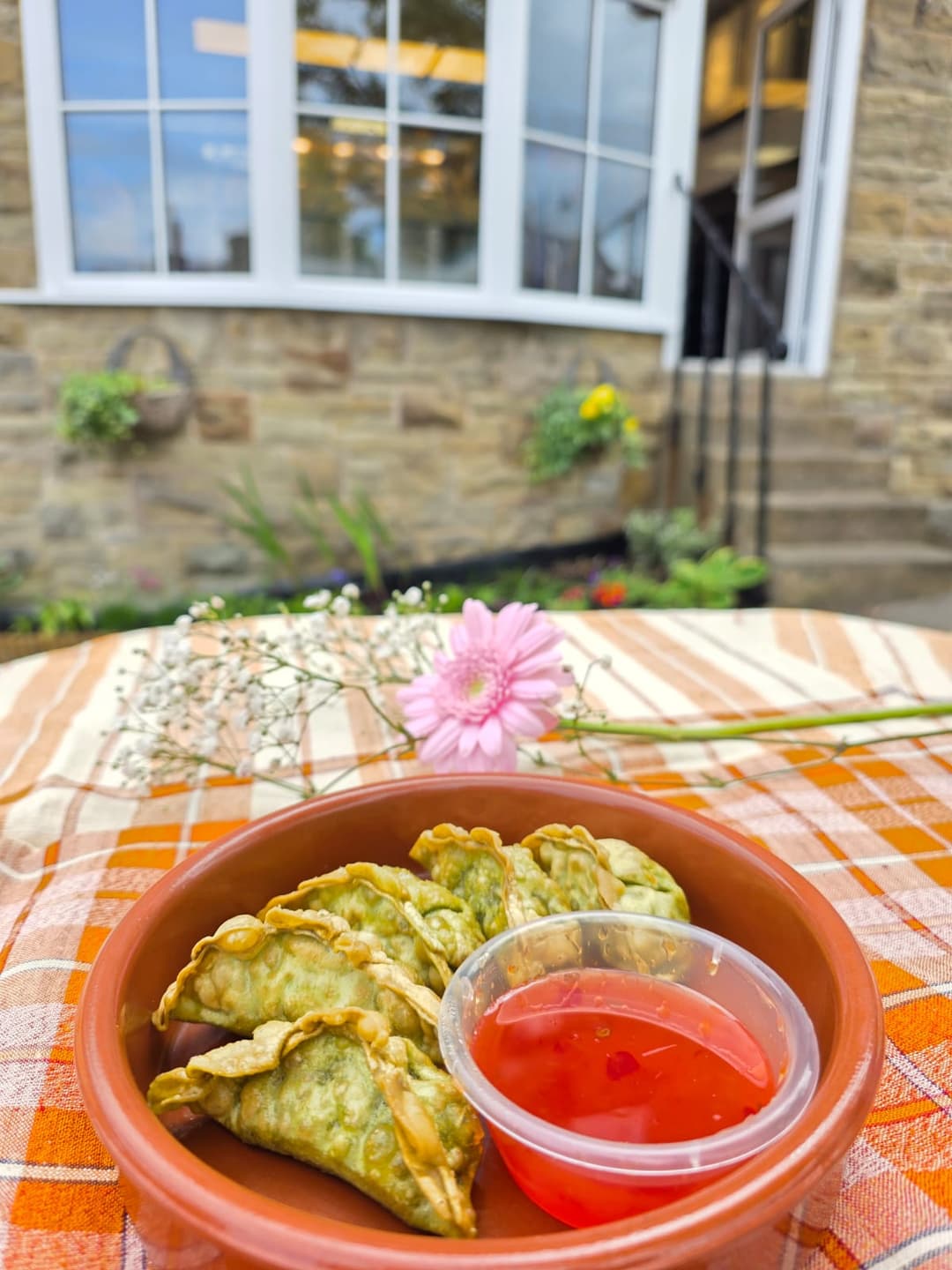 12. Vegetable Gyoza