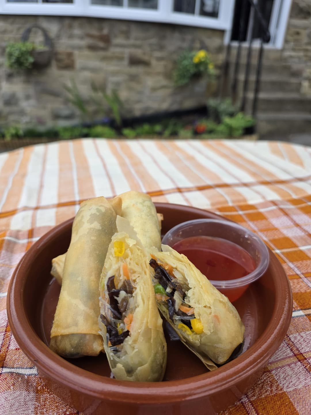 9. Vegetable Spring Rolls